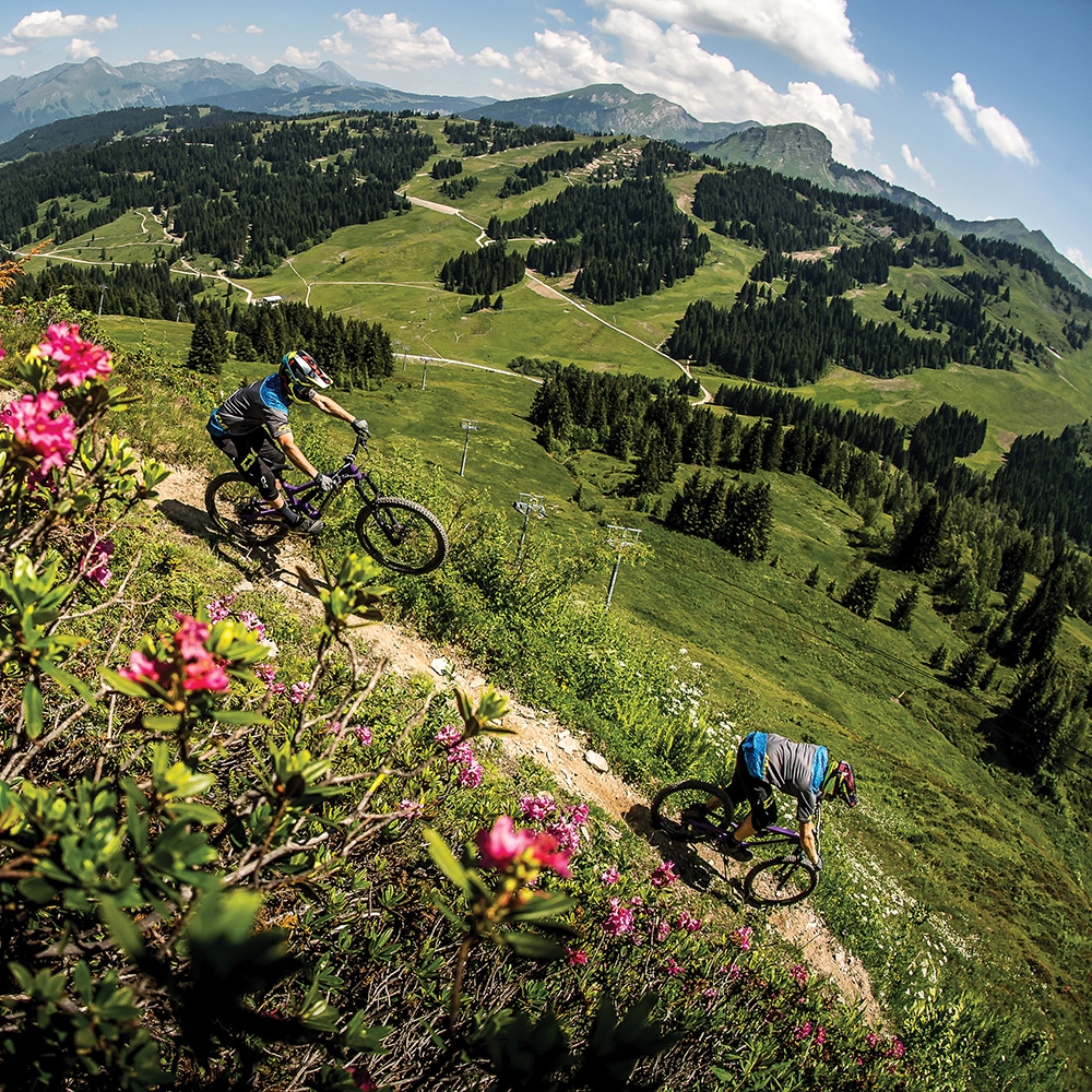 Vortex Enduro 27.5 Wheels Halo Wheels